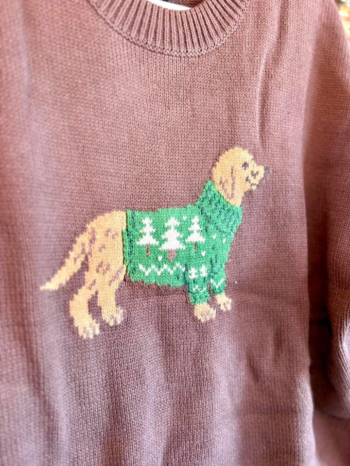 Holiday Doggo Sweater💚🐶